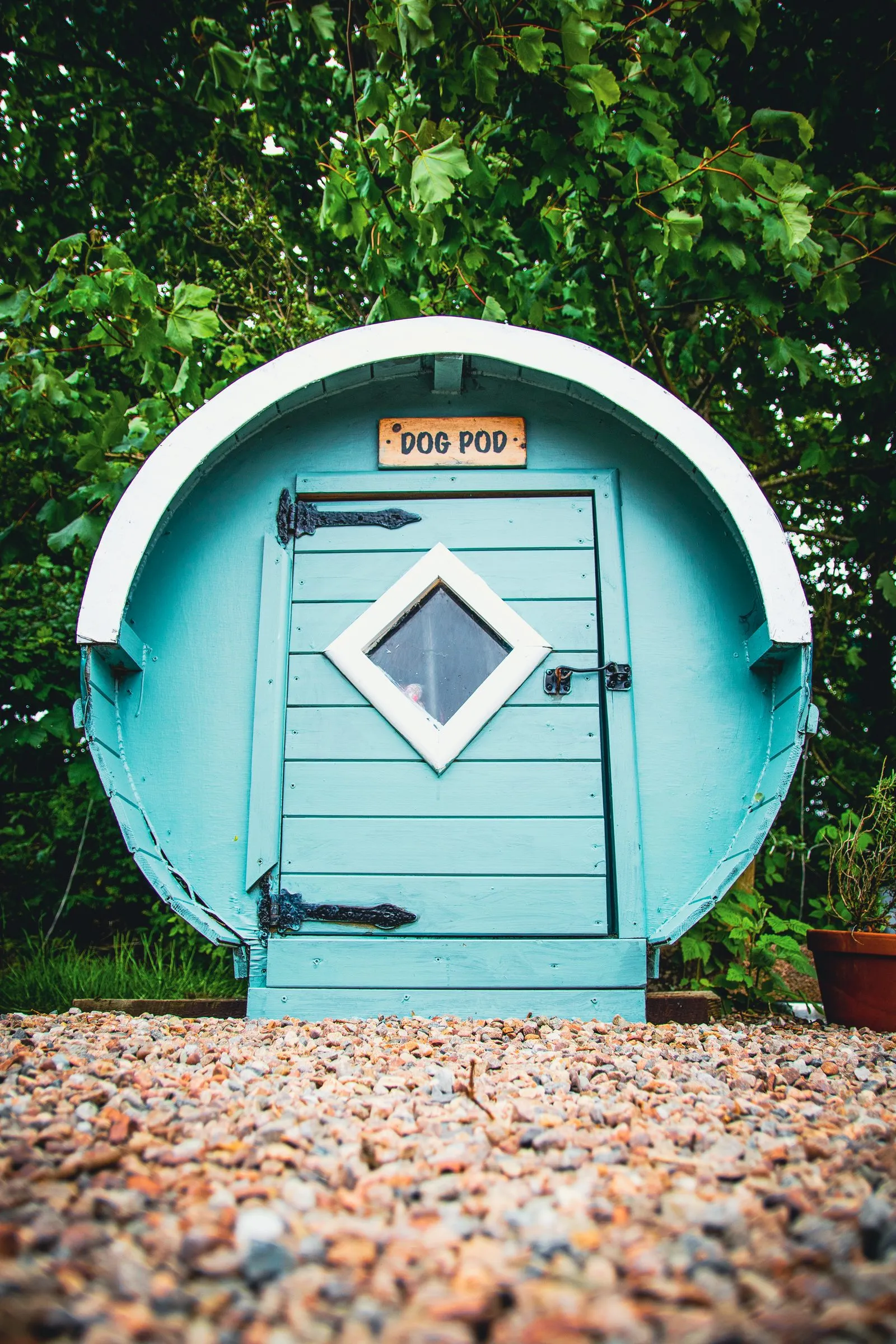 The Dog Pod